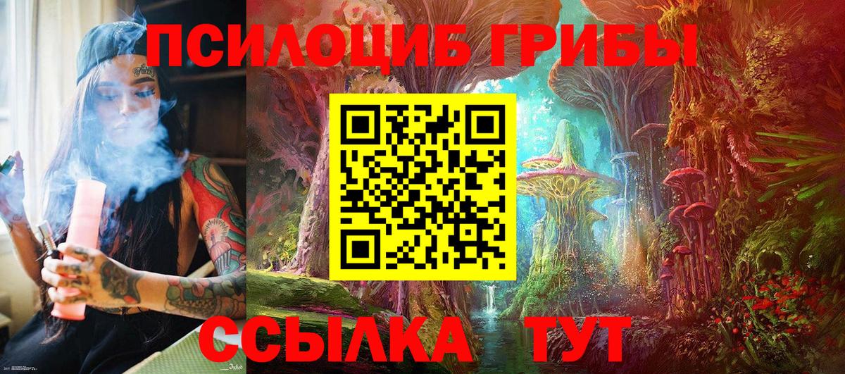Галлюциногенные грибы мухоморы Апатиты