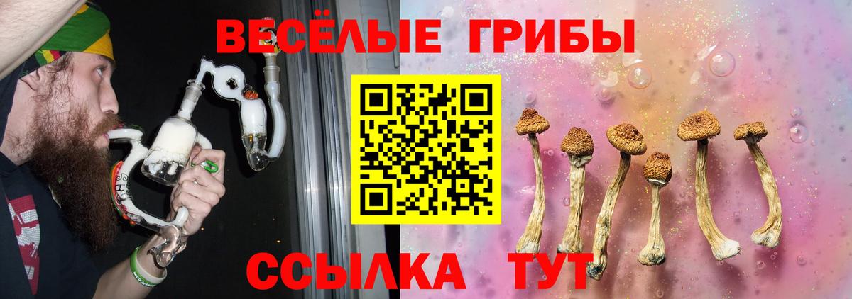 купить наркотик  Вход с VPN  Апатиты  Псилоцибиновые грибы Cubensis  Галлюциногенные грибы MAGIC MUSHROOMS 